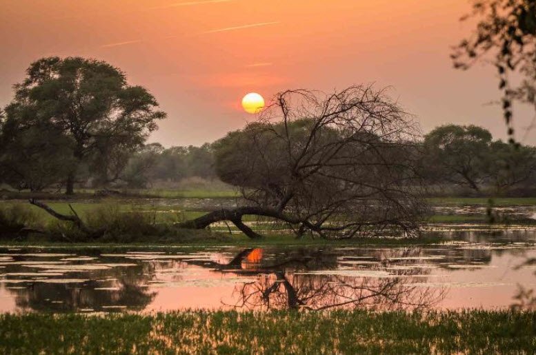 Vishwapriya Shastri Park, Bharatpur, Rajasthan - Vushii.com Vishwapriya Shastri Park, Bharatpur, Rajasthan - Vushii.com